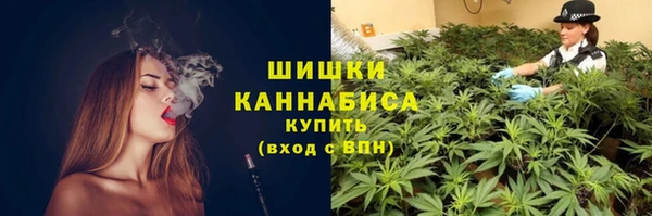 COCAINE Богородицк